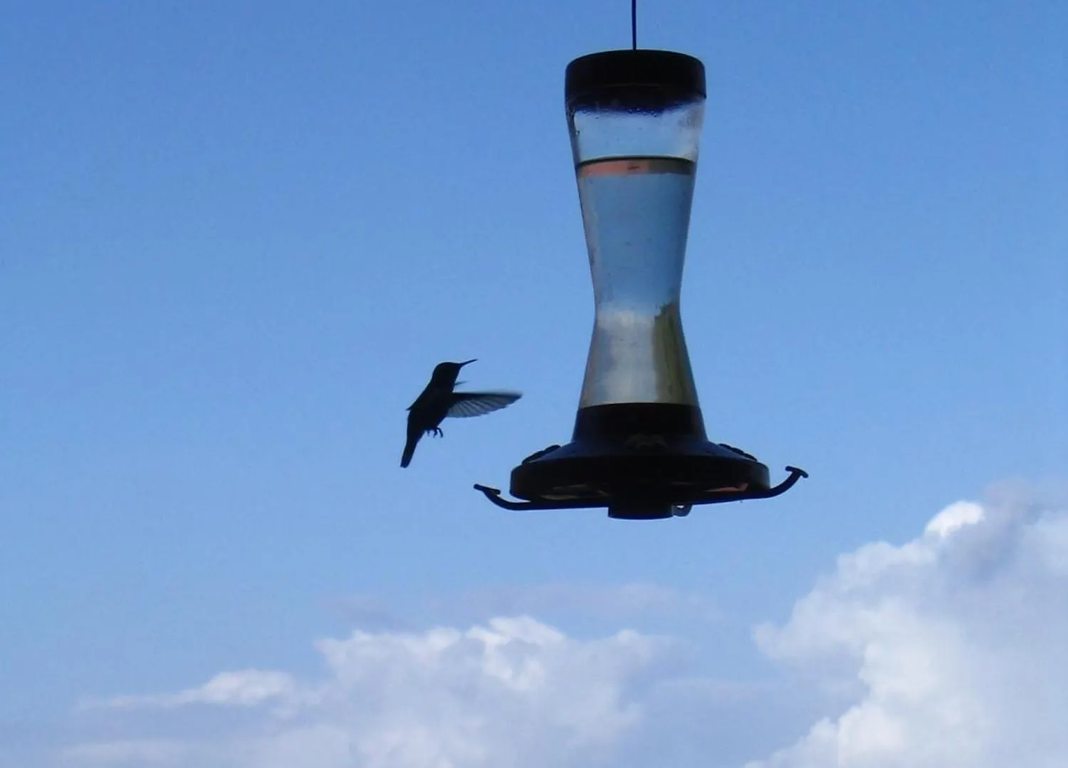 Feriehus Le Colibri, Belle Vue Mer, Acces Direct A La Plage, Spa Privatif Bouillante
