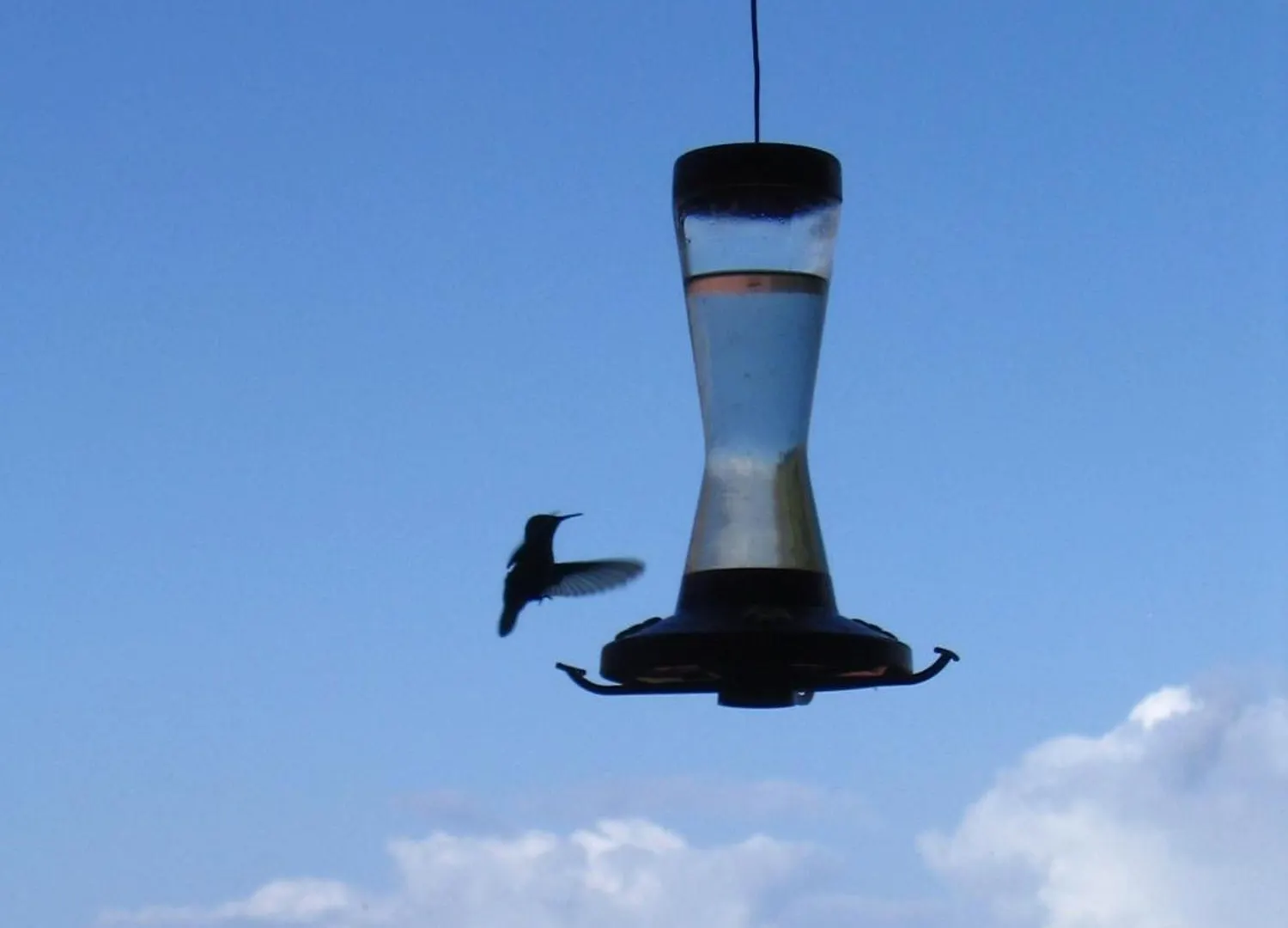 Le Colibri, Belle Vue Mer, Acces Direct A La Plage, Spa Privatif Bouillante Feriehus