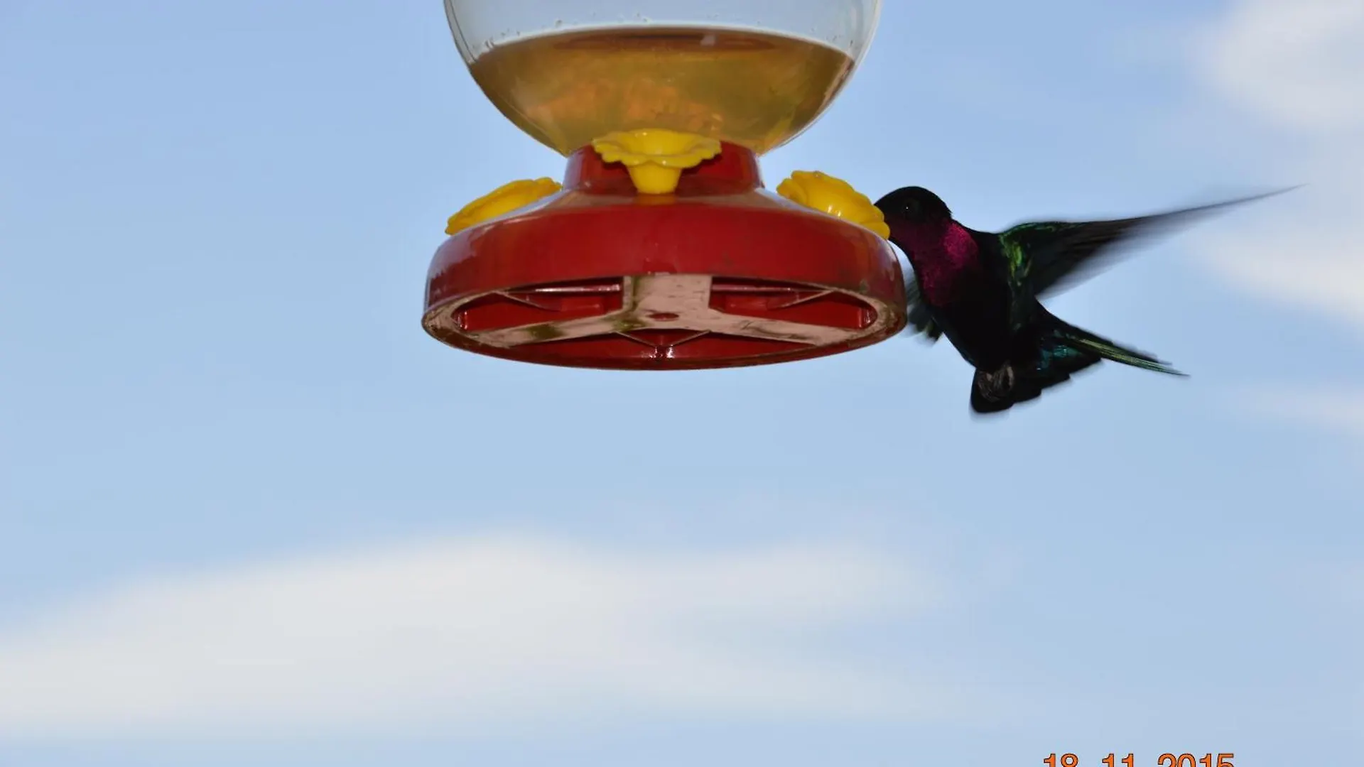 Le Colibri, Belle Vue Mer, Acces Direct A La Plage, Spa Privatif Bouillante Feriehus