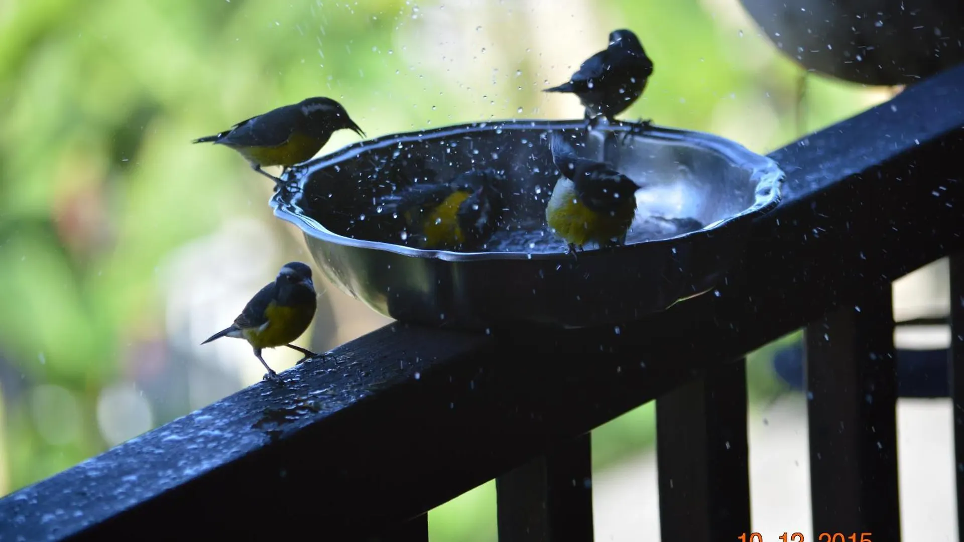 Le Colibri, Belle Vue Mer, Acces Direct A La Plage, Spa Privatif Bouillante